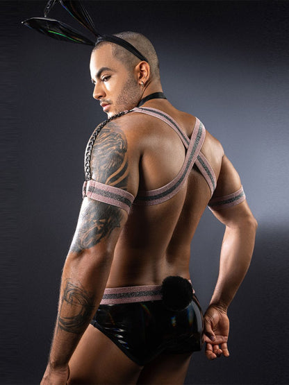 Men's Glossy Bunny Costume